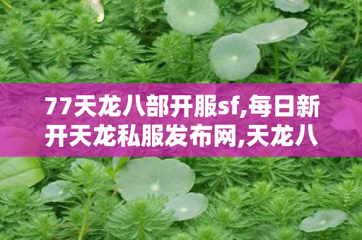 77天龙八部开服sf,每日新开天龙私服发布网,天龙八部变态服发布网,每日新开天龙私服发布网