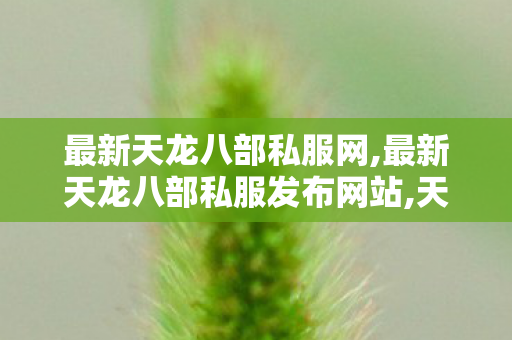 最新天龙八部私服网,最新天龙八部私服发布网站,天龙八部手游贴吧,最新天龙八部私服发布网站