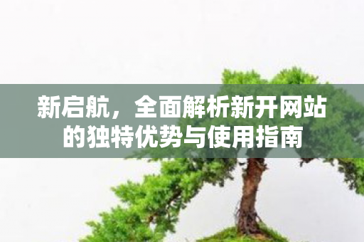 新启航，全面解析新开网站的独特优势与使用指南