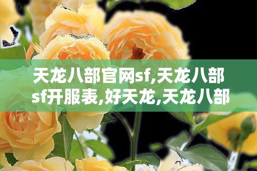 天龙八部官网sf,天龙八部 sf开服表,好天龙,天龙八部 sf开服表