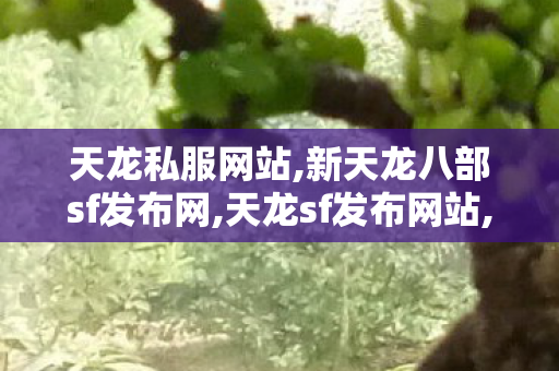 天龙私服网站,新天龙八部sf发布网,天龙sf发布网站,新天龙八部sf发布网