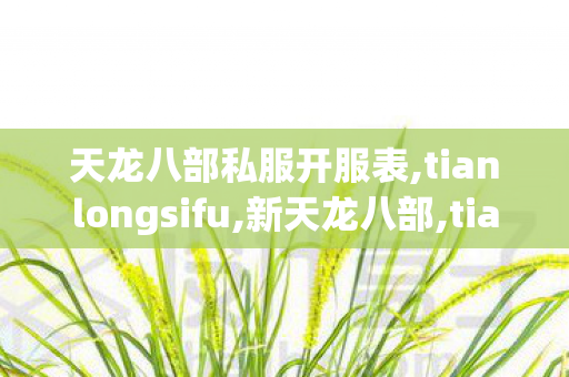 天龙八部私服开服表,tianlongsifu,新天龙八部,tianlongsifu