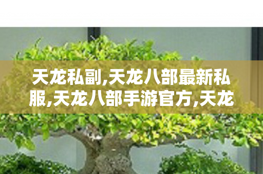 天龙私副,天龙八部最新私服,天龙八部手游官方,天龙八部最新私服