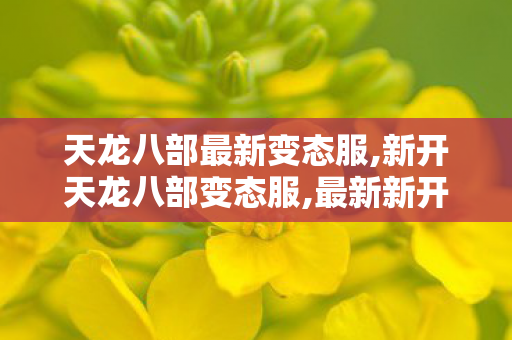 天龙八部最新变态服,新开天龙八部变态服,最新新开天龙八部sf,新开天龙八部变态服