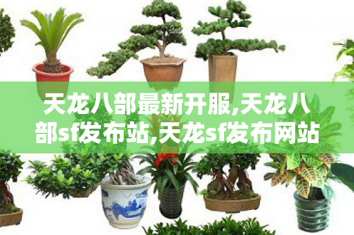 天龙八部最新开服,天龙八部sf发布站,天龙sf发布网站,天龙八部sf发布站