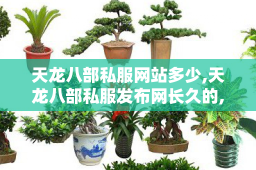 天龙八部私服网站多少,天龙八部私服发布网长久的,天龙八部公益服网站,天龙八部私服发布网长久的
