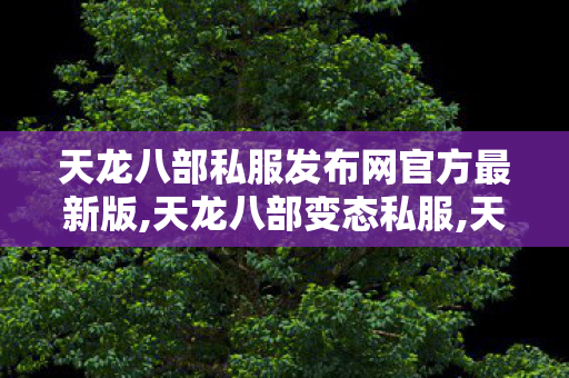 天龙八部私服发布网官方最新版,天龙八部变态私服,天龙八部私服发u我,天龙八部变态私服