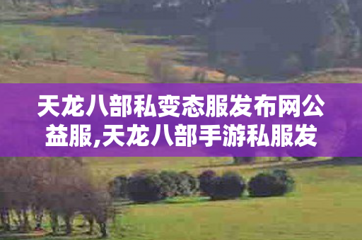 天龙八部私变态服发布网公益服,天龙八部手游私服发布网,最新天龙八部变态私服发布网,天龙八部手游私服发布网