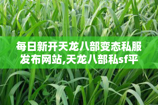 每日新开天龙八部变态私服发布网站,天龙八部私sf平台,天龙八部旗舰发布网,天龙八部私sf平台