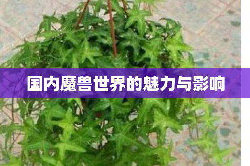 国内魔兽世界的魅力与影响