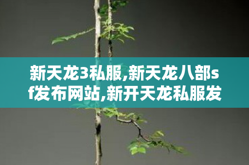 新天龙3私服,新天龙八部sf发布网站,新开天龙私服发布网,新天龙八部sf发布网站