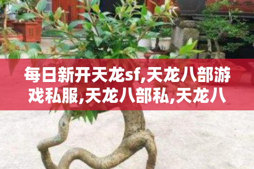 每日新开天龙sf,天龙八部游戏私服,天龙八部私,天龙八部游戏私服