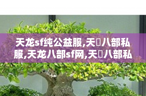 天龙sf纯公益服,天龍八部私服,天龙八部sf网,天龍八部私服