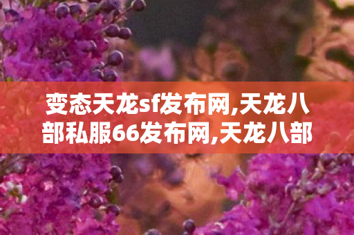 变态天龙sf发布网,天龙八部私服66发布网,天龙八部传奇私服,天龙八部私服66发布网