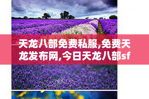 天龙八部免费私服,免费天龙发布网,今日天龙八部sf,免费天龙发布网