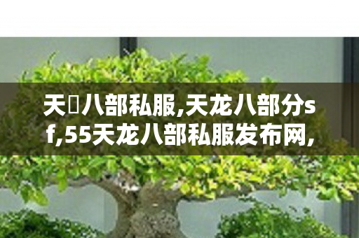 天龍八部私服,天龙八部分sf,55天龙八部私服发布网,天龙八部分sf