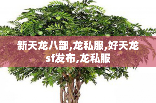 新天龙八部,龙私服,好天龙sf发布,龙私服