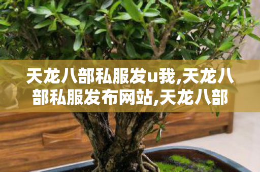 天龙八部私服发u我,天龙八部私服发布网站,天龙八部长久服发布网,天龙八部私服发布网站