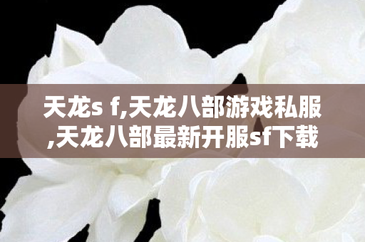 天龙s f,天龙八部游戏私服,天龙八部最新开服sf下载,天龙八部游戏私服