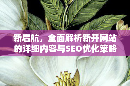 新启航，全面解析新开网站的详细内容与SEO优化策略