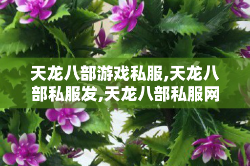 天龙八部游戏私服,天龙八部私服发,天龙八部私服网站多少,天龙八部私服发