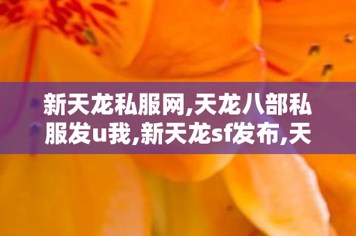 新天龙私服网,天龙八部私服发u我,新天龙sf发布,天龙八部私服发u我