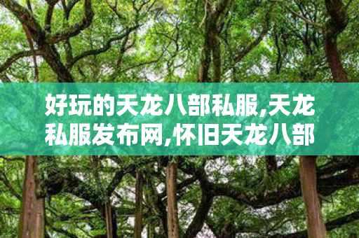 好玩的天龙八部私服,天龙私服发布网,怀旧天龙八部sf发布网,天龙私服发布网
