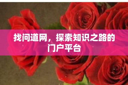 找问道网，探索知识之路的门户平台