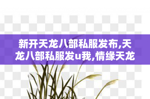 新开天龙八部私服发布,天龙八部私服发u我,情缘天龙八部sf,天龙八部私服发u我