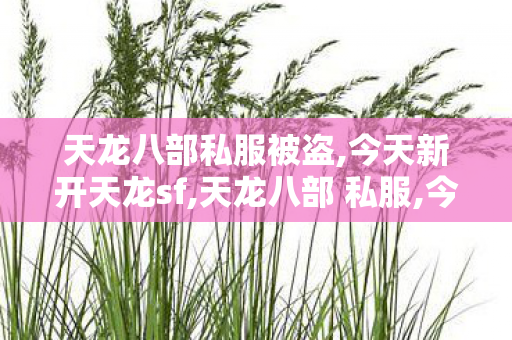 天龙八部私服被盗,今天新开天龙sf,天龙八部 私服,今天新开天龙sf