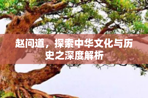 赵问道，探索中华文化与历史之深度解析