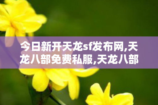 今日新开天龙sf发布网,天龙八部免费私服,天龙八部私服最新发布网,天龙八部免费私服