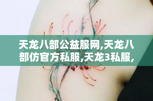 天龙八部公益服网,天龙八部仿官方私服,天龙3私服,天龙八部仿官方私服