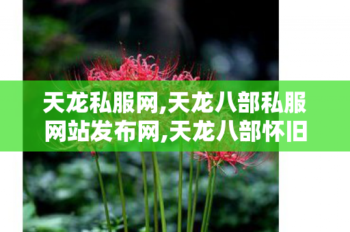天龙私服网,天龙八部私服网站发布网,天龙八部怀旧sf发布网,天龙八部私服网站发布网