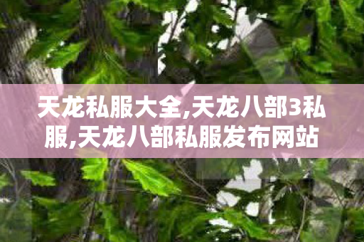 天龙私服大全,天龙八部3私服,天龙八部私服发布网站,天龙八部3私服