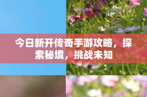 今日新开传奇手游攻略，探索秘境，挑战未知