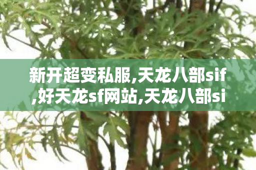 新开超变私服,天龙八部sif,好天龙sf网站,天龙八部sif