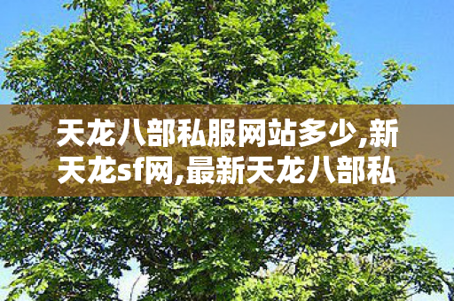 天龙八部私服网站多少,新天龙sf网,最新天龙八部私服,新天龙sf网