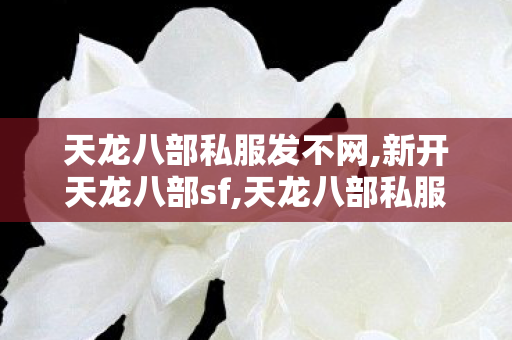 天龙八部私服发不网,新开天龙八部sf,天龙八部私服网站多少,新开天龙八部sf