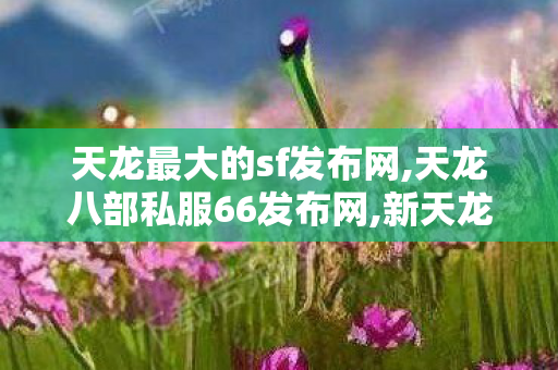 天龙最大的sf发布网,天龙八部私服66发布网,新天龙sf,天龙八部私服66发布网