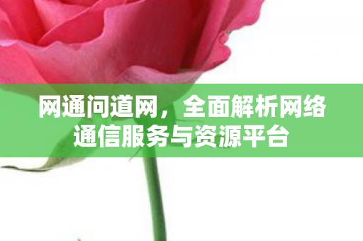 网通问道网，全面解析网络通信服务与资源平台