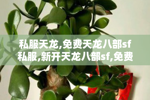 私服天龙,免费天龙八部sf私服,新开天龙八部sf,免费天龙八部sf私服