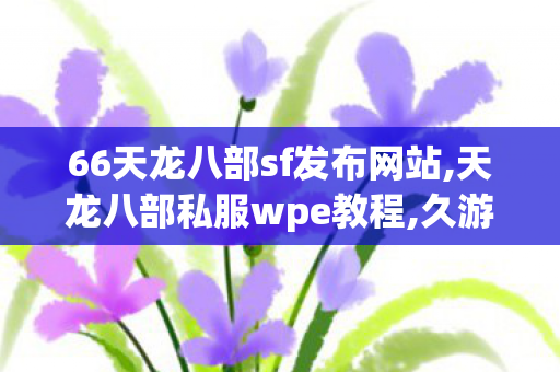 66天龙八部sf发布网站,天龙八部私服wpe教程,久游天龙八部私服,天龙八部私服wpe教程