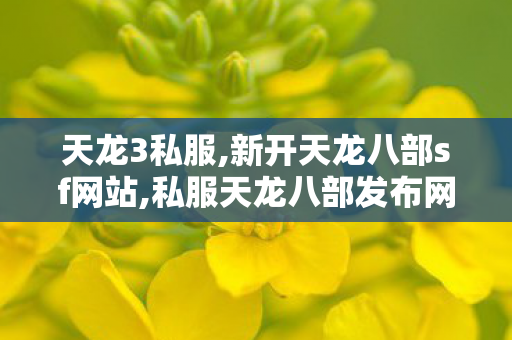天龙3私服,新开天龙八部sf网站,私服天龙八部发布网站,新开天龙八部sf网站