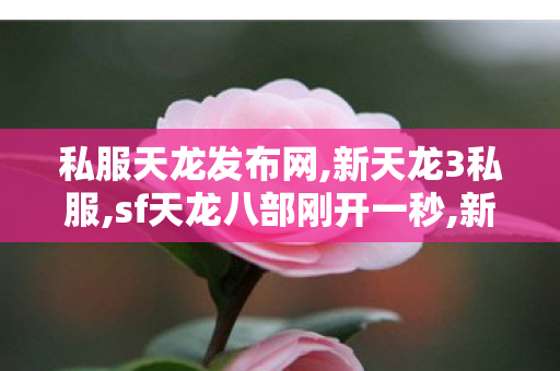 私服天龙发布网,新天龙3私服,sf天龙八部刚开一秒,新天龙3私服
