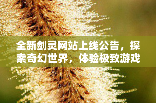 全新剑灵网站上线公告，探索奇幻世界，体验极致游戏乐趣