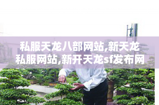 私服天龙八部网站,新天龙私服网站,新开天龙sf发布网站,新天龙私服网站