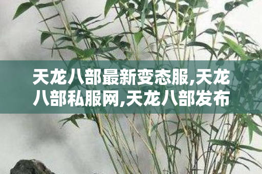 天龙八部最新变态服,天龙八部私服网,天龙八部发布站,天龙八部私服网