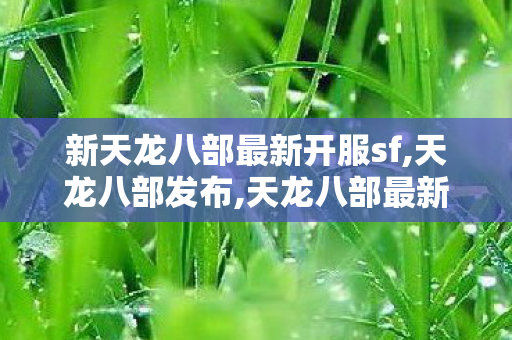 新天龙八部最新开服sf,天龙八部发布,天龙八部最新开服sf下载,天龙八部发布