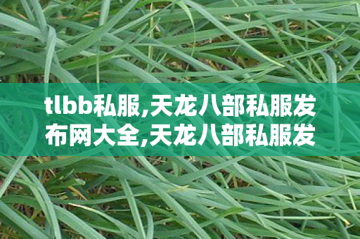 tlbb私服,天龙八部私服发布网大全,天龙八部私服发布网,天龙八部私服发布网大全